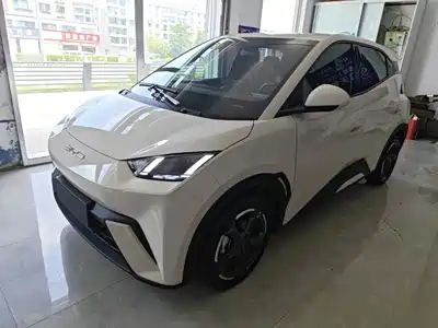 BYD Seagull