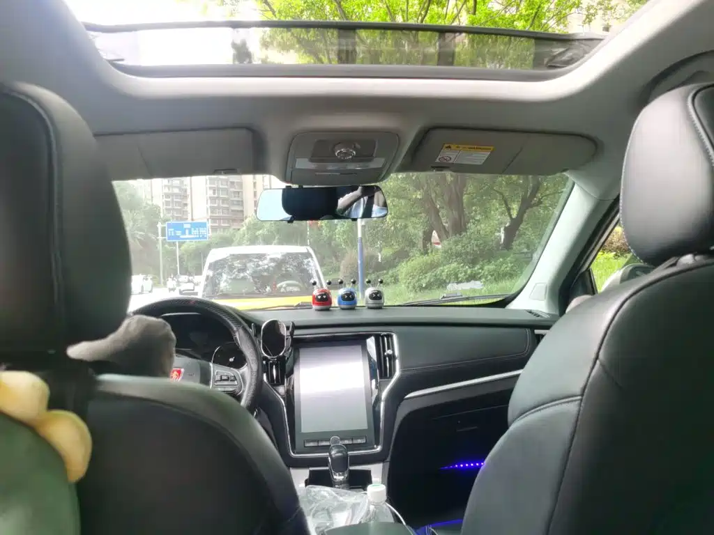 Фото 9 - Roewe RX5