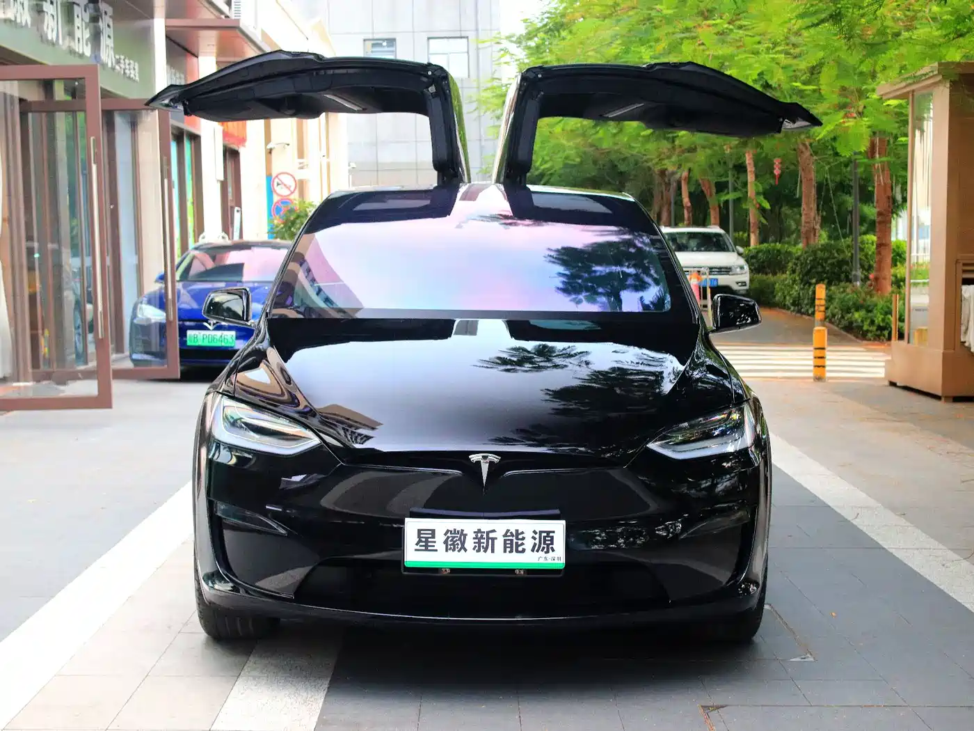 Tesla Model X 2023 2023 Dual Motor All-Wheel Drive Edition