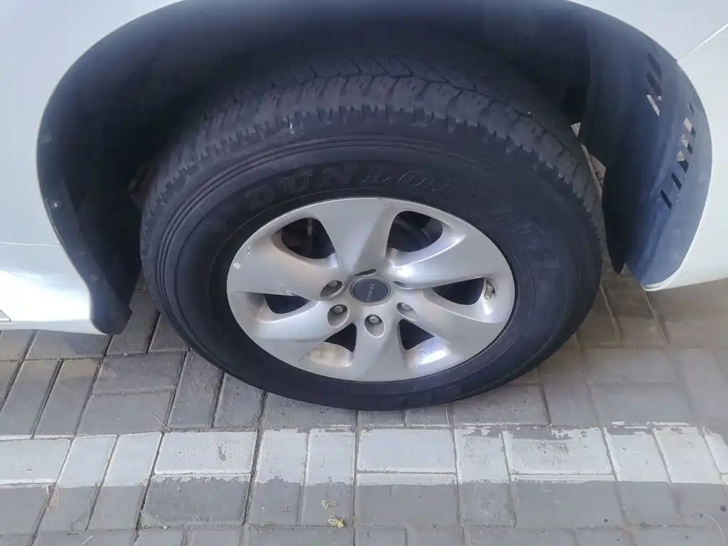 Фото 24 - Haval H9