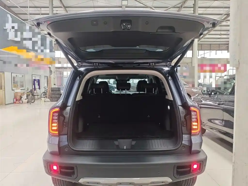 Haval Big Dog 2024 1.5T DCT Border Collie Edition фото 19