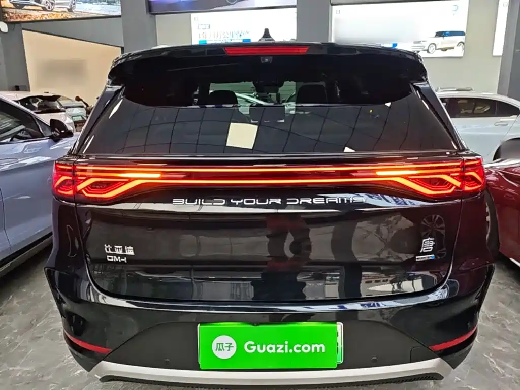 Фото 6 - BYD Tang New Energy
