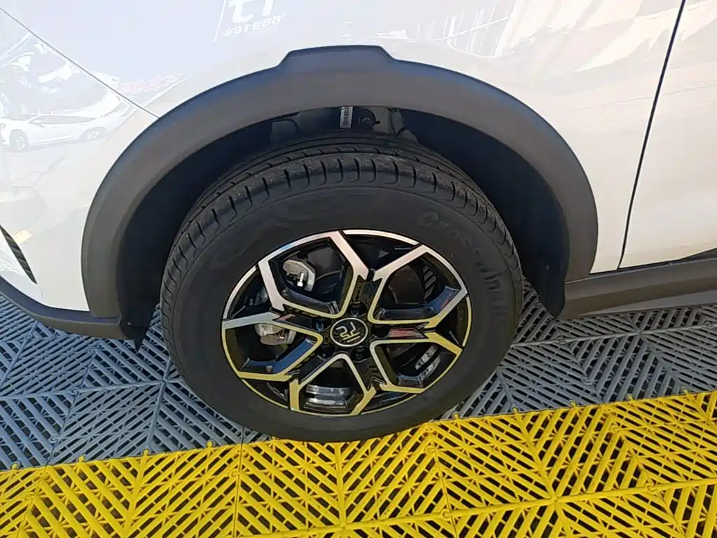 BYD Yuan Pro 2023 2023 401KM Luxury