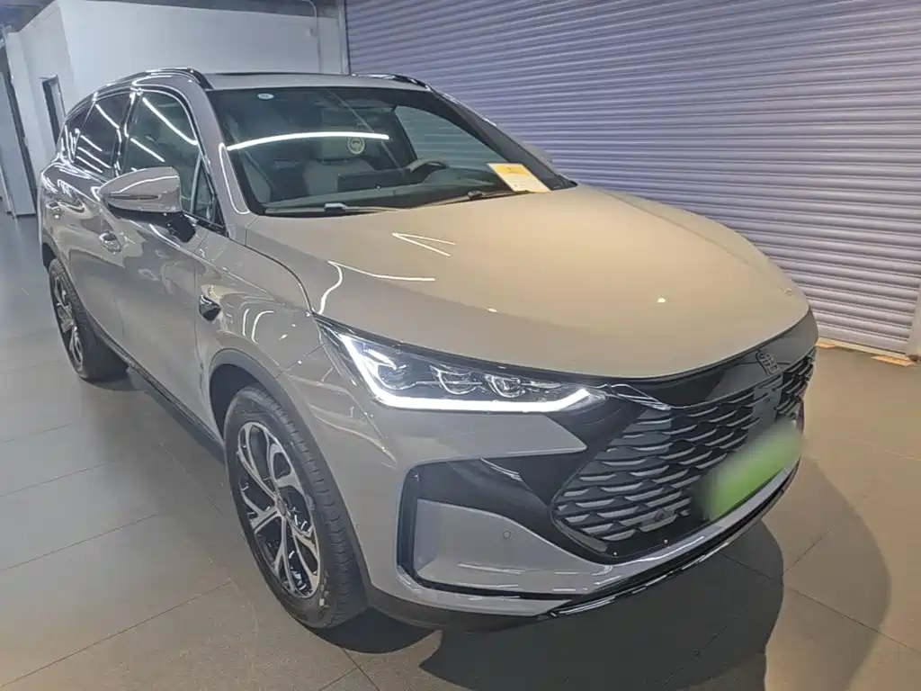 2025 BYD Tang New Energy