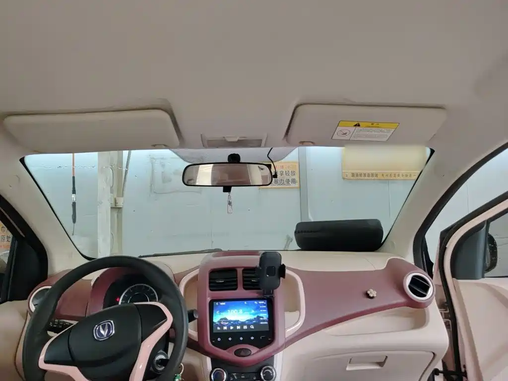 Changan Benben E-Star 2022 2022 Appreciation Edition Colorful LFP