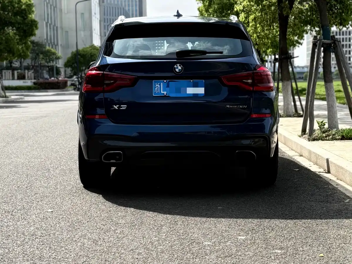 BMW X3 2019 xDrive30i Leading M Sport Package фото 3