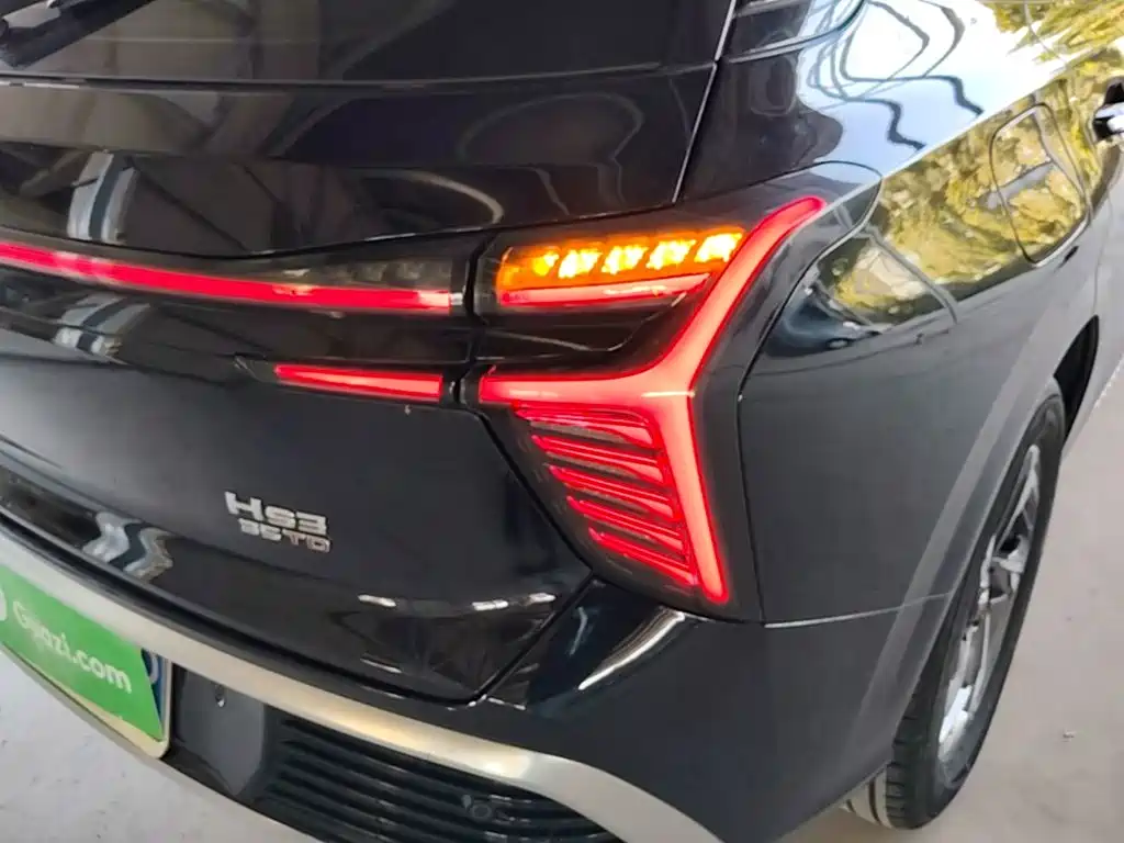 Фото 8 - Hongqi HS3