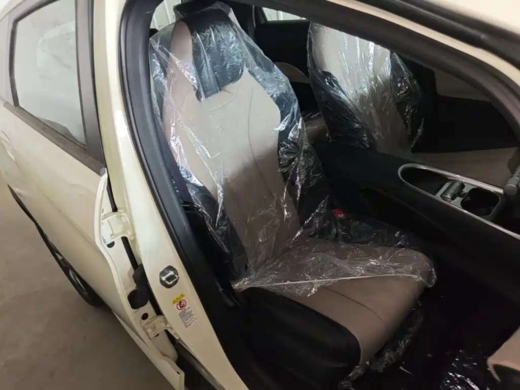 Photo 25 - BYD Dolphin