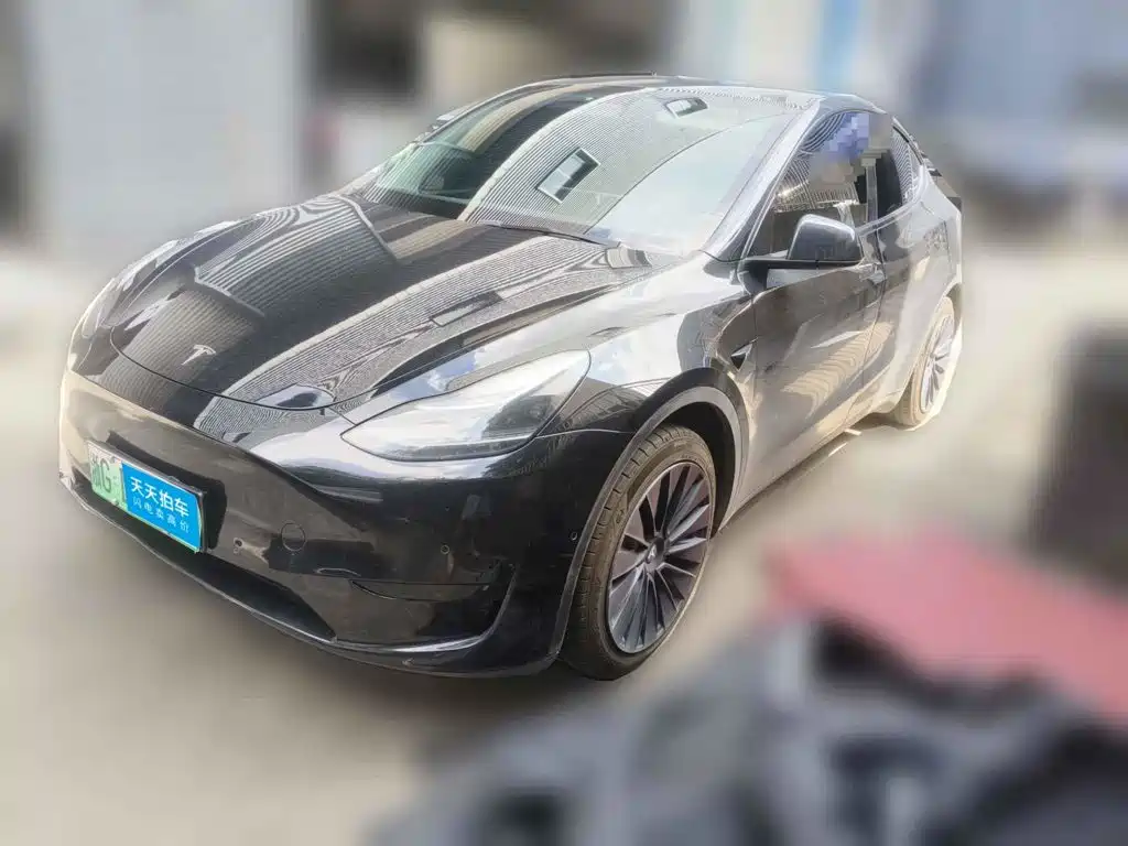 Tesla Model Y 2022 Rear-Wheel Drive Version
