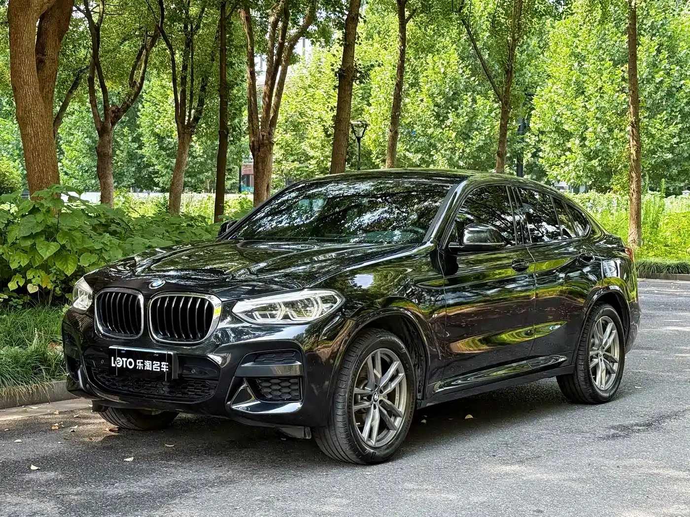 BMW X4 2020 xDrive25i M Sport Package