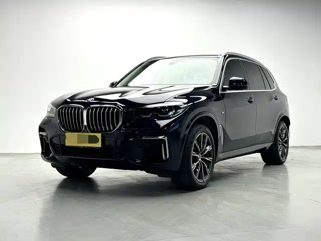BMW X5 2022 2022 xDrive 30Li M Sport Package
