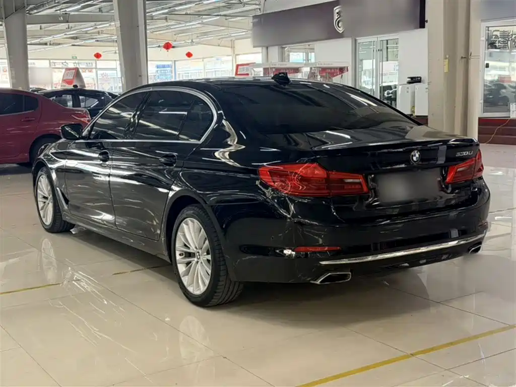 BMW 5 Series 2019 Facelift 530Li Premium Luxury Package фото 8