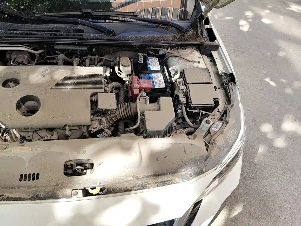 Nissan SYLPHY, миниатюра 21