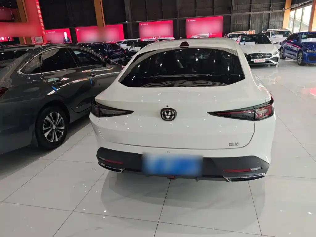 Changan Yida 2024 2023 Blue Whale NE 1.5T GDI DCT Pilot