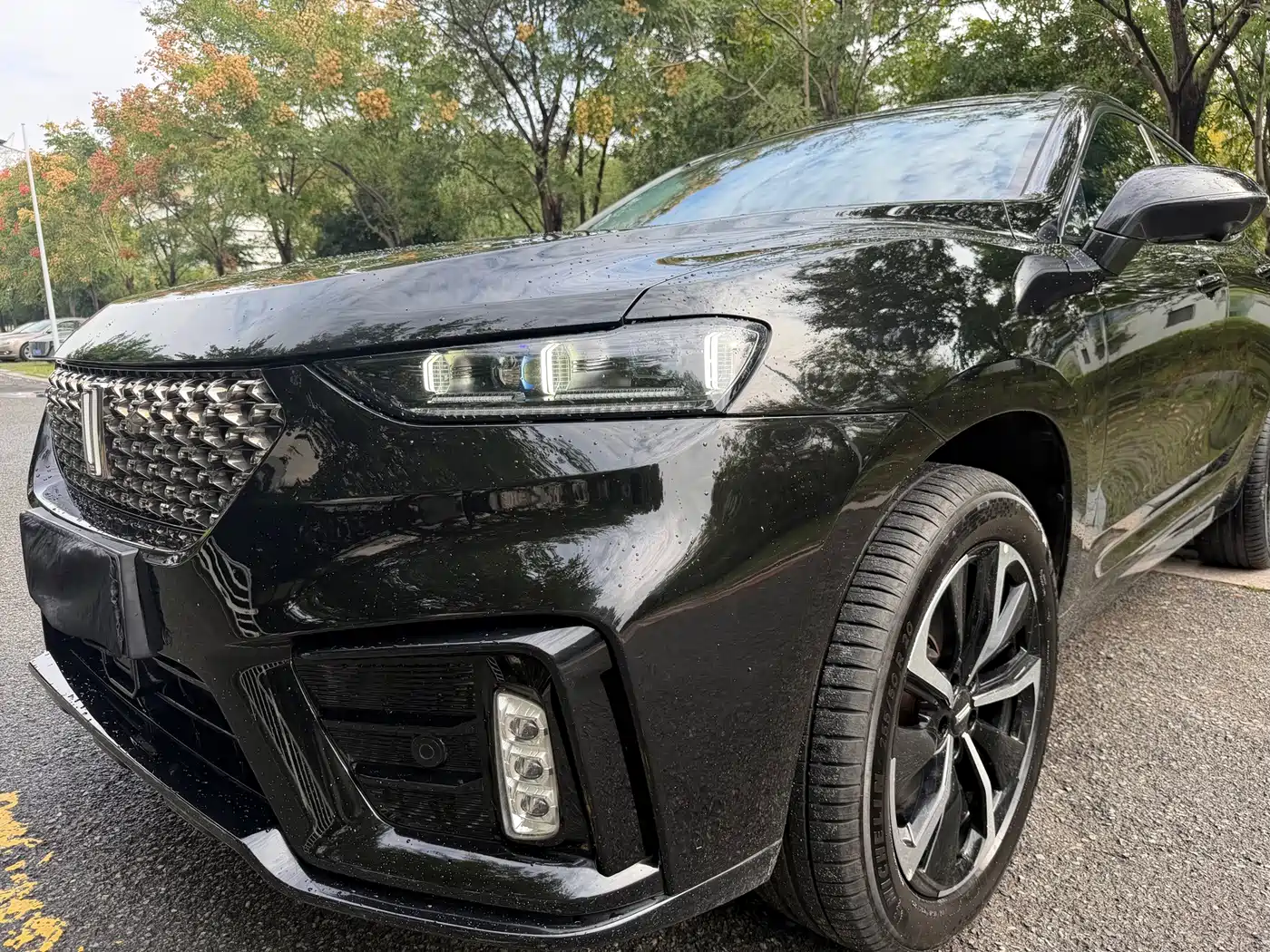 WEY Wei VV7 GT 2021 2020 2.0T Flagship