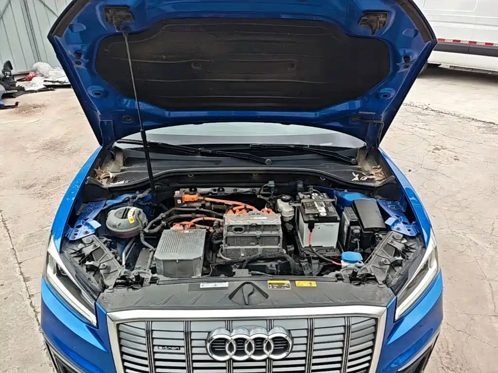 Audi Q2L e-tron 2020 2019 Q2L e-tron Pure Electric Smart Enjoyment
