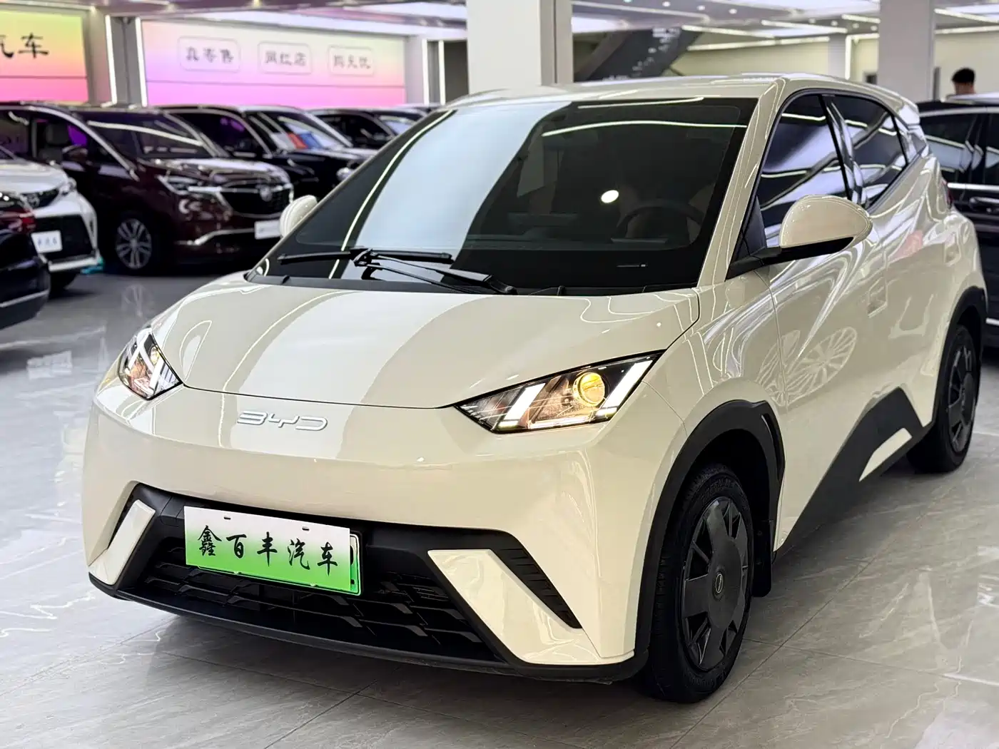 BYD Seagull 2023 Vitality Edition