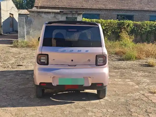 Geely Galaxy Panda 2026 2025 Model Year 210km Panda Knight