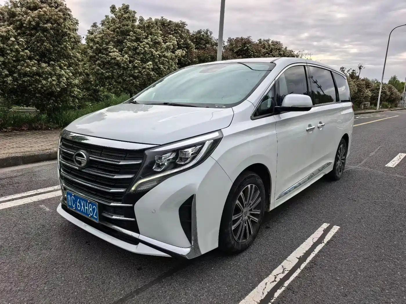 GAC Trumpchi Trumpchi M8 2021 Leading Show Series 390T Premium Edition