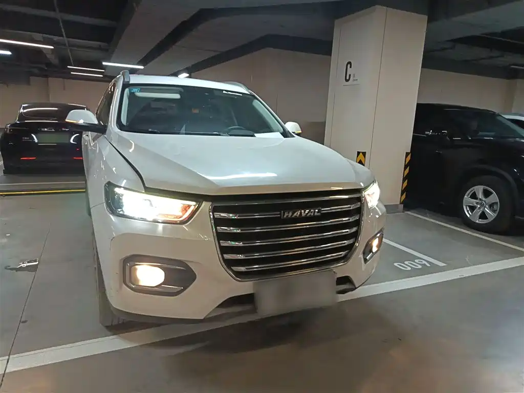 Haval H6 2020 2.0GDIT Automatic Platinum Champion Edition фото 22