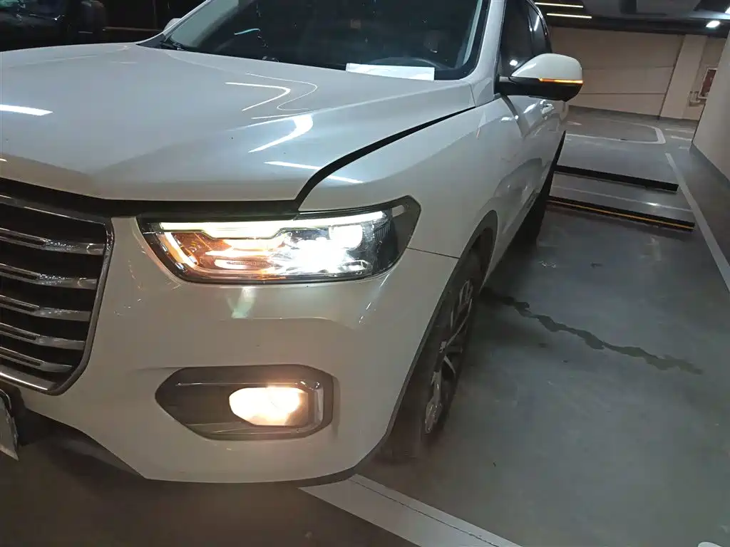 Haval H6 2020 2.0GDIT Automatic Platinum Champion Edition фото 18