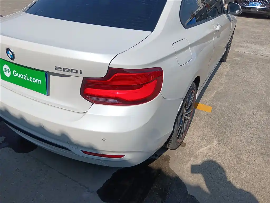 BMW 2 Series (Import) 2018 220i Sport Design Package фото 24