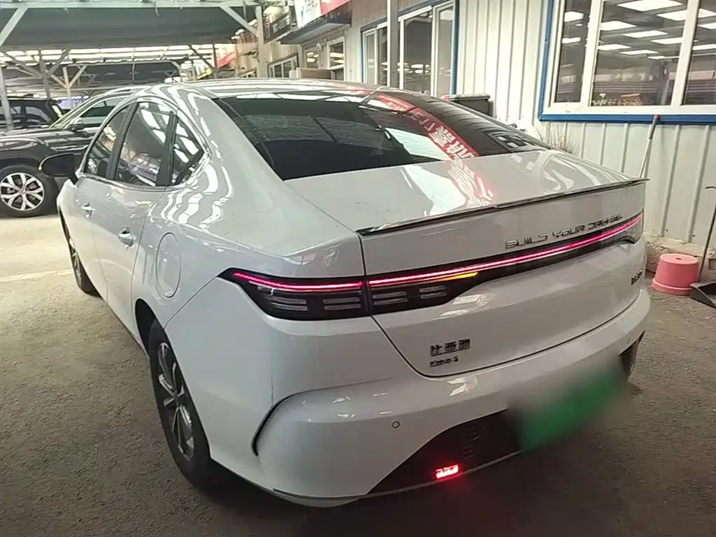 BYD Destroyer 05 2024 Glory Edition DM-i 55KM Luxury фото 5