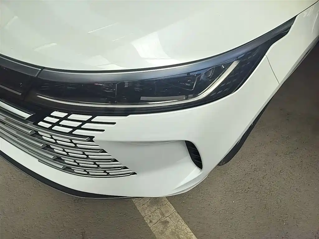 BYD Destroyer 05 2024 Glory Edition DM-i 55KM Luxury фото 24