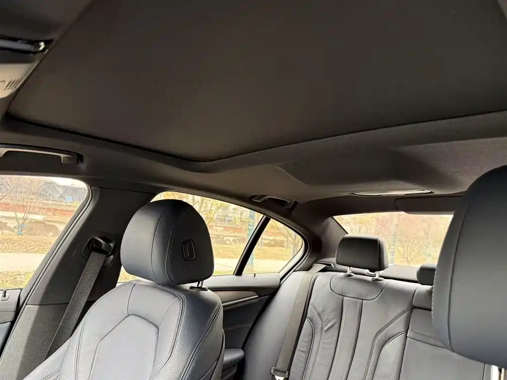 BMW 5 Series (Import) 2019 Facelift 525i M Sport Package фото 9