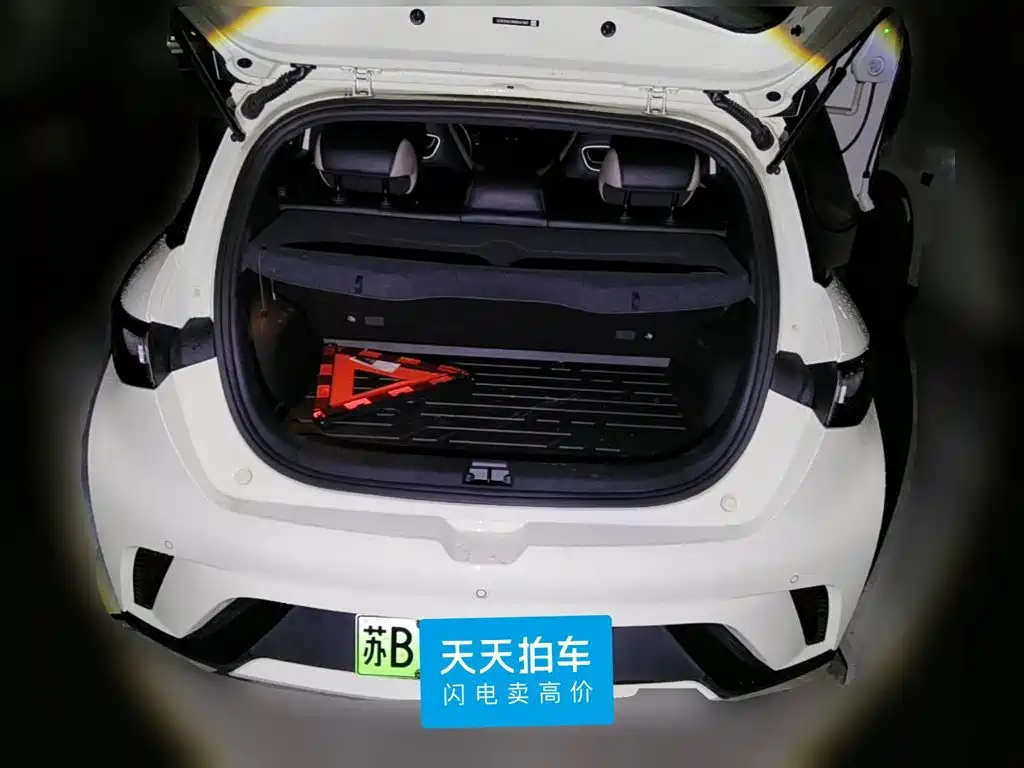 Photo 5 - BYD Dolphin