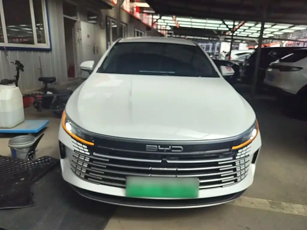 BYD Destroyer 05 2024 Glory Edition DM-i 55KM Luxury фото 3