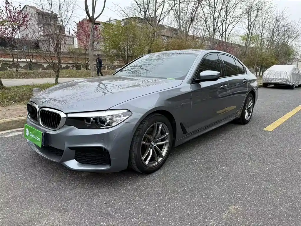 BMW 5 Series (Import) 2019 Facelift 525i M Sport Package