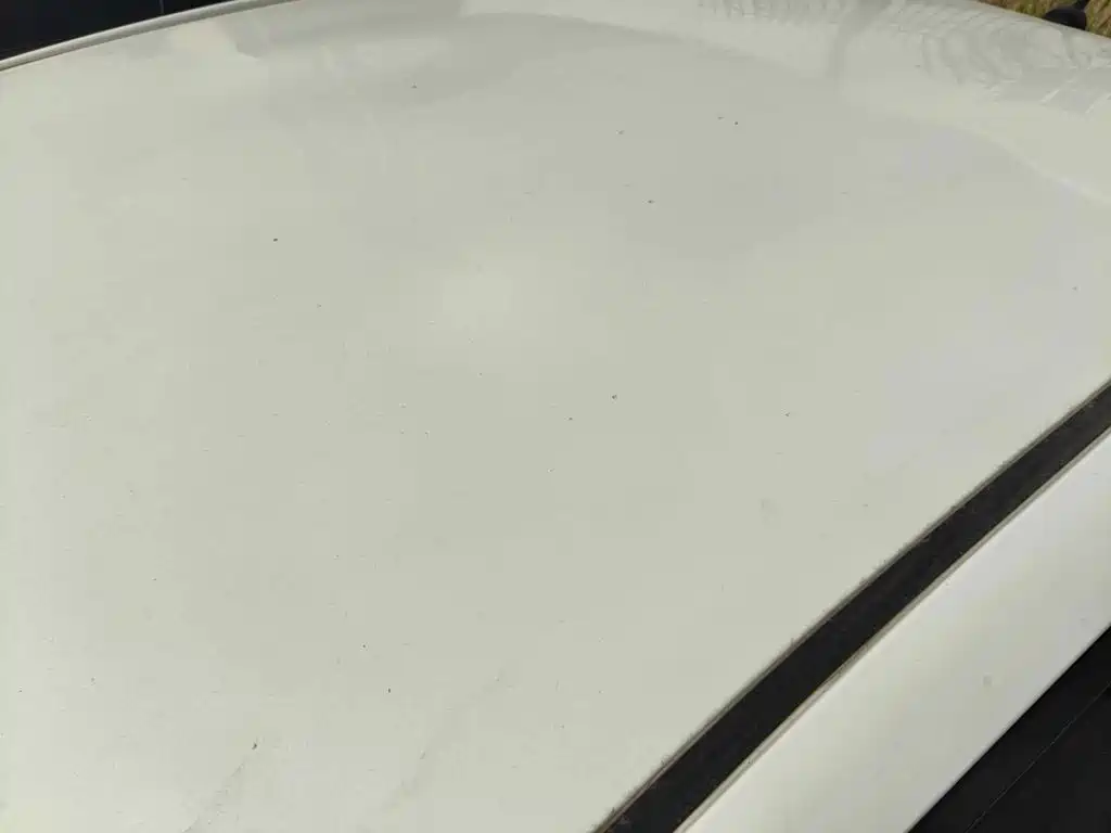 Toyota Vios 2023 2022 1.5L 20th Anniversary Edition