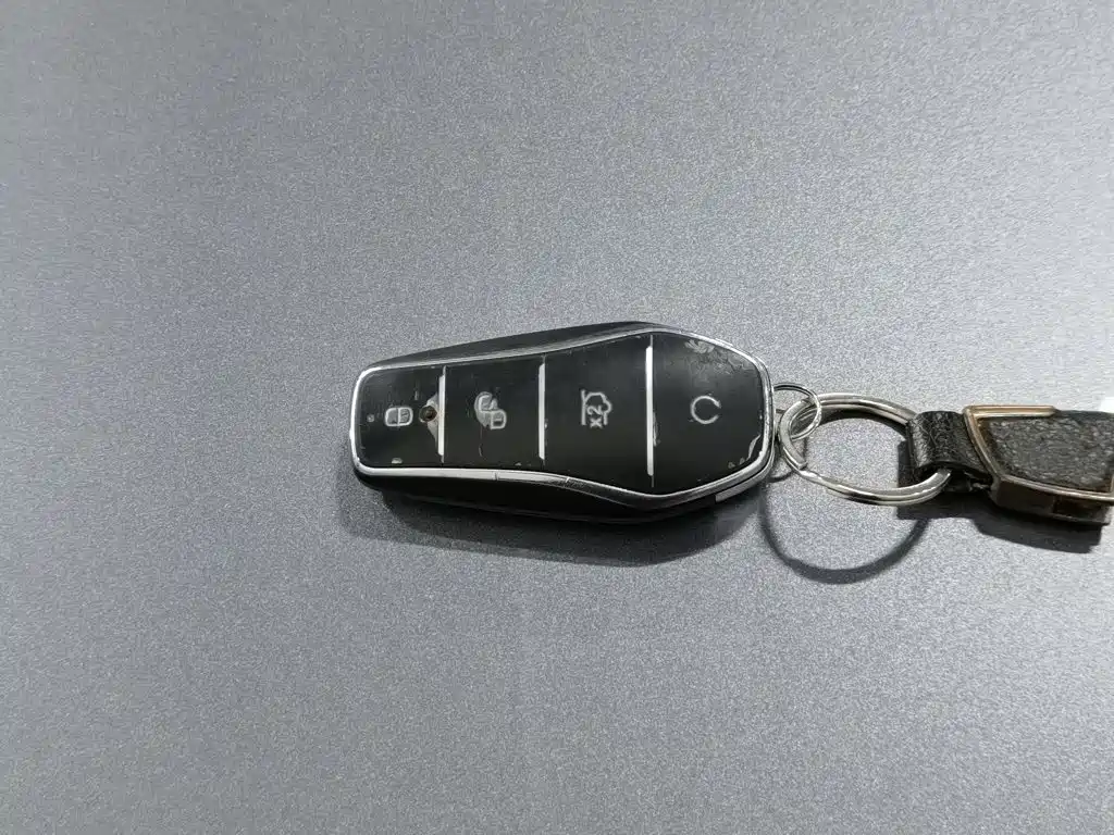 BYD Qin L 2024 2024 DM-i 80KM Superior