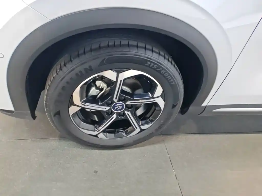 BYD Yuan PLUS 2025 2025 Model Intelligent Driving Edition 510KM Leading Version