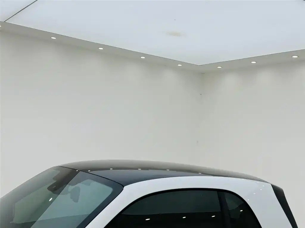 smart fortwo 2020 2019 0.9T 66kW Hardtop Wind Edition China VI