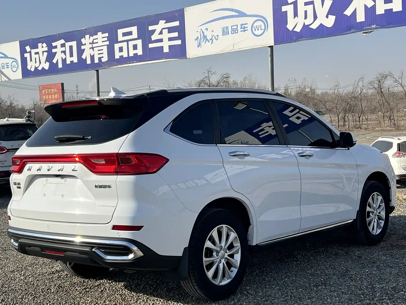 HAVAL M6