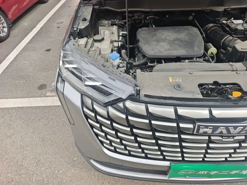 Haval H6 2025 2024 1.5T 2WD Max