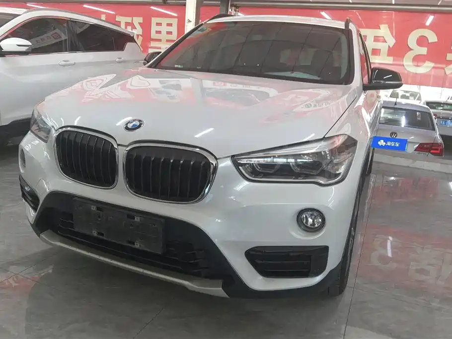 BMW X1 2018 xDrive20Li Luxury Model фото 2
