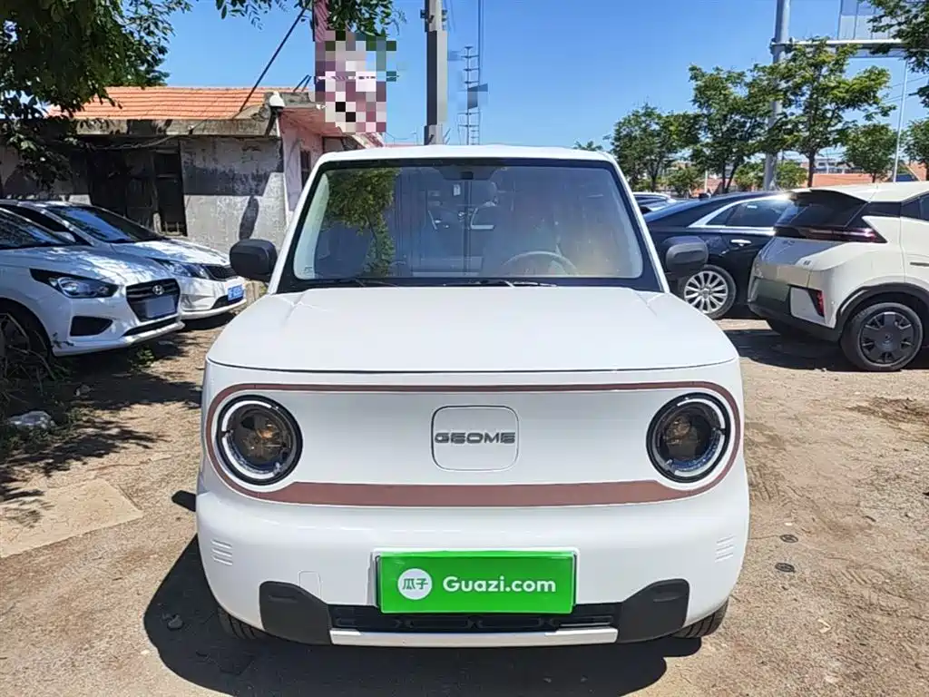 Geely Galaxy Panda 2025 Panda mini 210km Vitality Bear фото 3