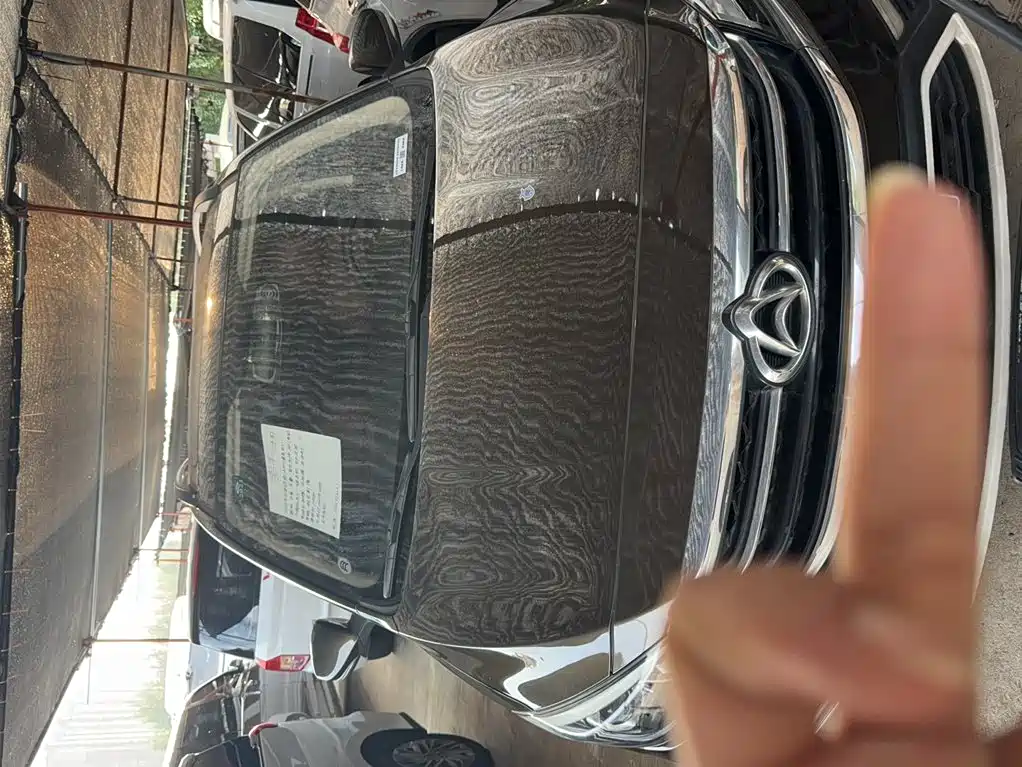 Changan Oshan Changan Oushang A800 2017 2017 Model 1.6L Manual Luxury