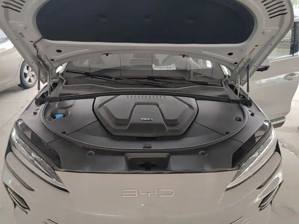 BYD Song PLUS PHEV 2024 Glory Edition DM-i 110km Flagship фото 19