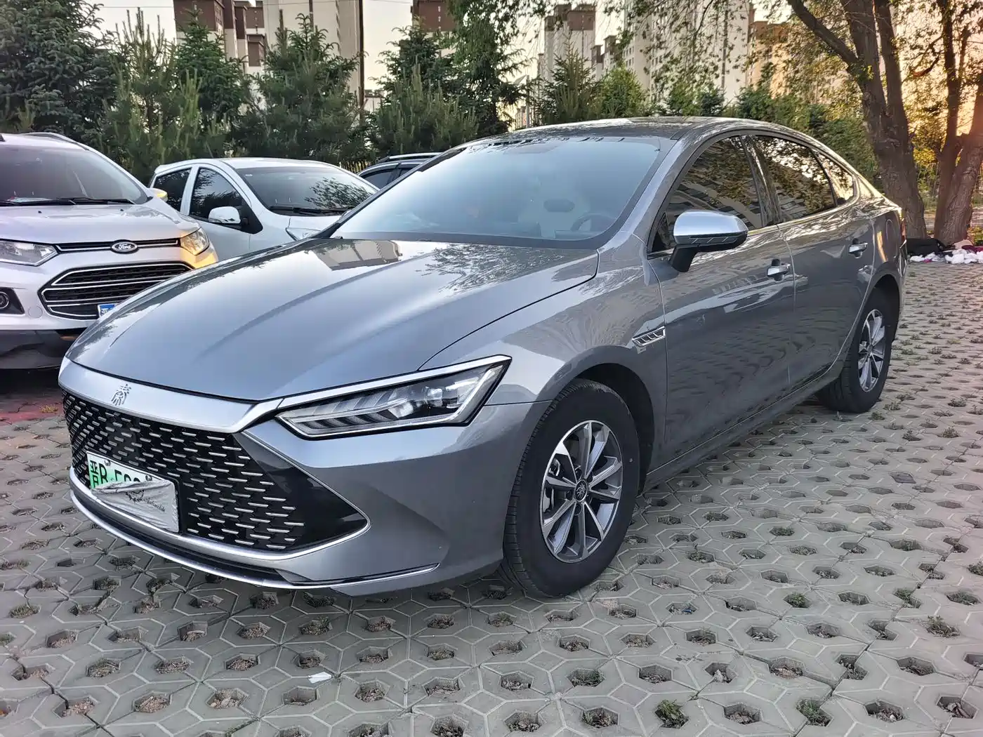 BYD Qin PLUS 2025 DM-i Smart Drive 55KM Leader