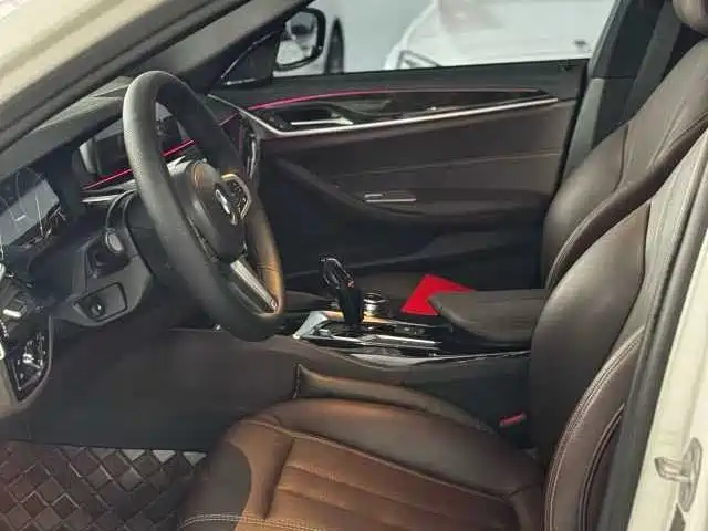 BMW 5 Series 2019 525Li M Sport Package фото 8
