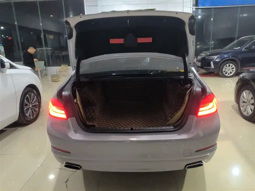 BMW 5 Series 2018 528Li Launch Special Edition фото 15