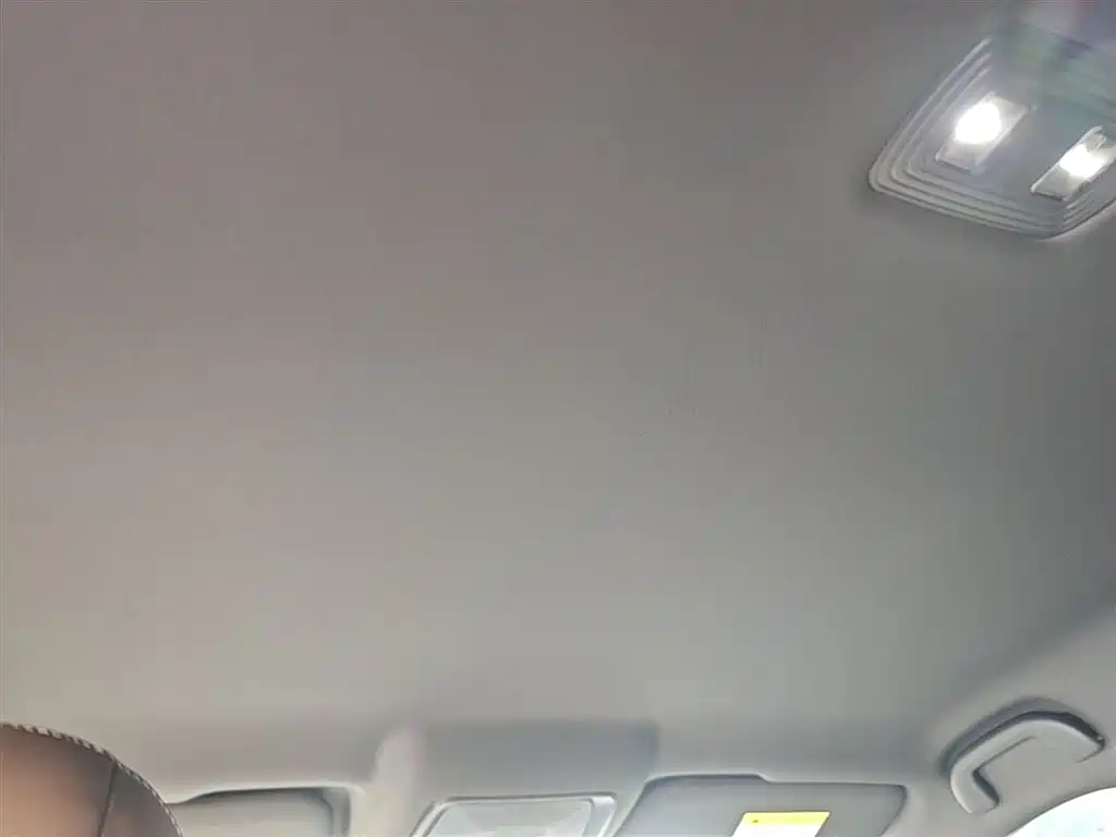 BYD Qin PLUS 2024 Glory Edition DM-i 55KM Leading фото 18