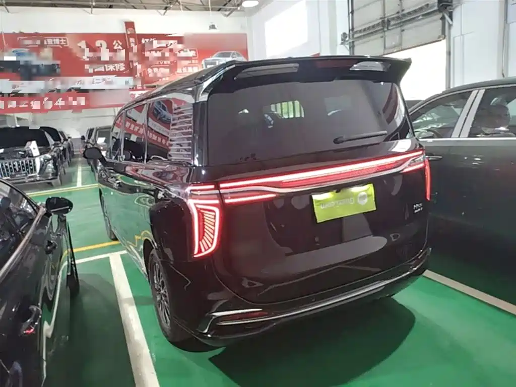 Hongqi HQ9 PHEV 2024 Model 2.0T AWD Business Edition фото 5