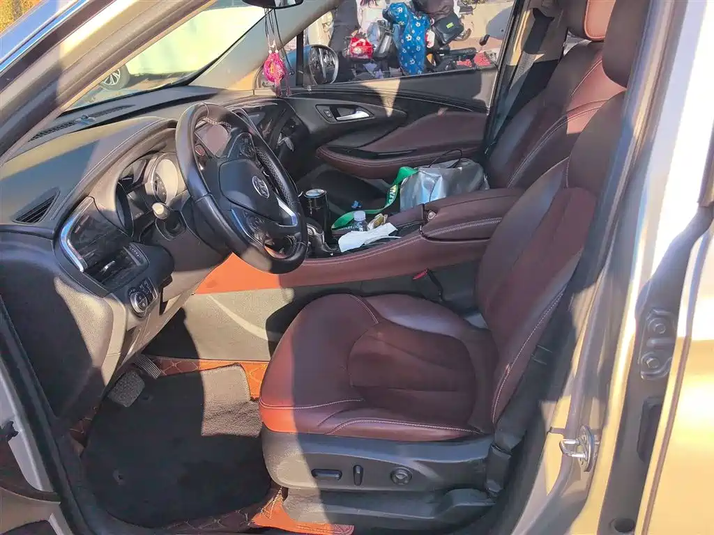 Buick Envision Plus 2015 20T 2WD Elite фото 8