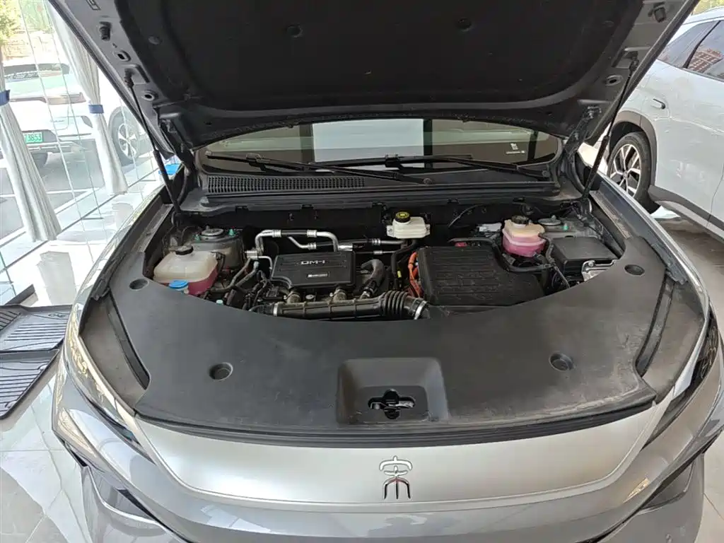 BYD Song Pro New Energy 2025 2nd Generation Smart Drive Edition DM-i 115KM Surpassing Type фото 20