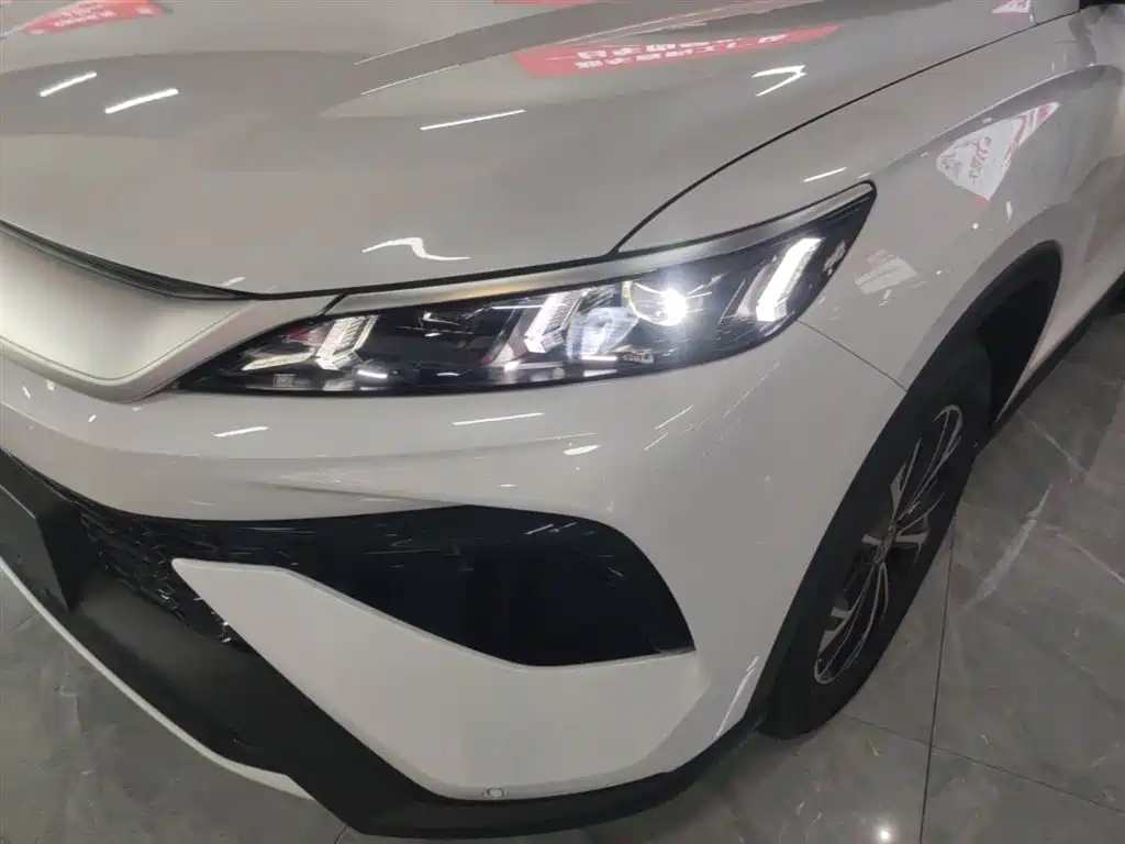 BYD Song Pro New Energy 2026 DM-i 133KM Progressive фото 24